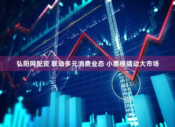 弘阳网配资 联动多元消费业态 小票根撬动大市场